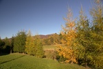 dsc01871.jpg