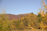 dsc01872.jpg