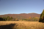 dsc01921.jpg