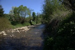 dsc03893.jpg