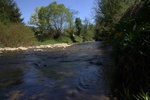 dsc03895.jpg