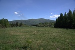 dsc03913.jpg