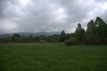 dsc04000.jpg