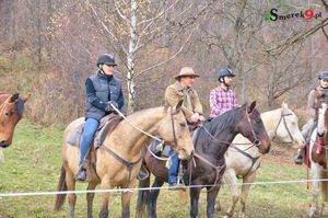 Wypoczynek w Bieszczadach