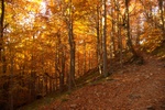 Bieszczady Smerek9