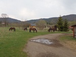 Bieszczady Smerek9