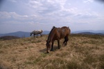 Bieszczady Smerek9