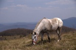 Bieszczady Smerek9